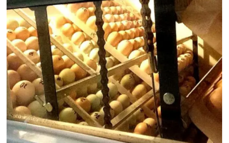 養(yǎng)殖場孵化器智能監(jiān)測案例