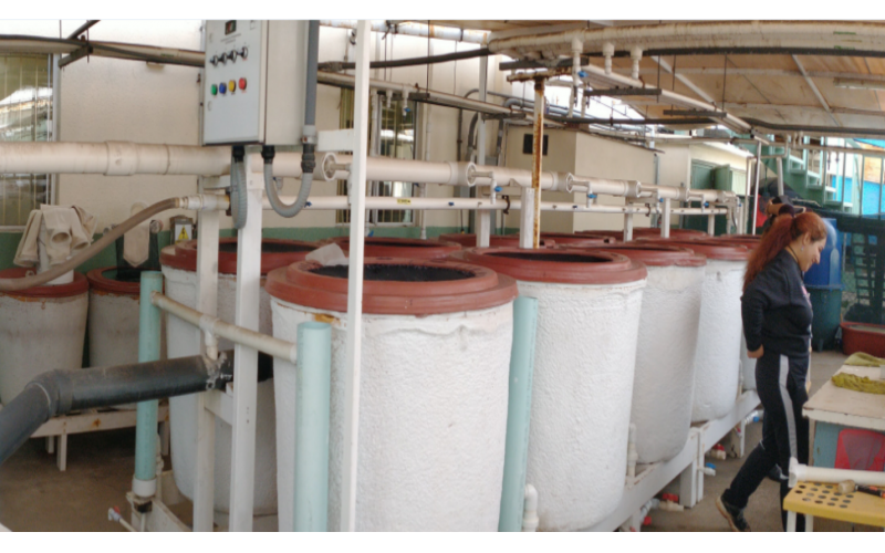 加利福尼亞諾瑪大學(xué)海洋學(xué)研究所水產(chǎn)養(yǎng)殖監(jiān)測(cè)合作案例